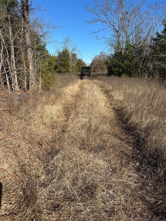 62.58 acres in Lamar County - photo 26