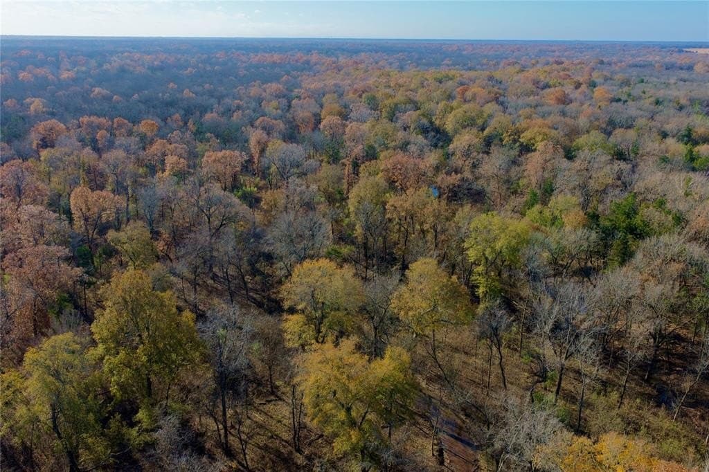 62.58 acres in Lamar County - photo 3