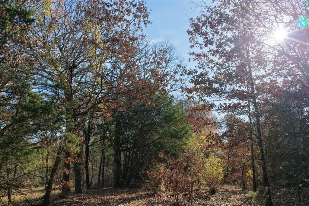 62.58 acres in Lamar County - photo 10