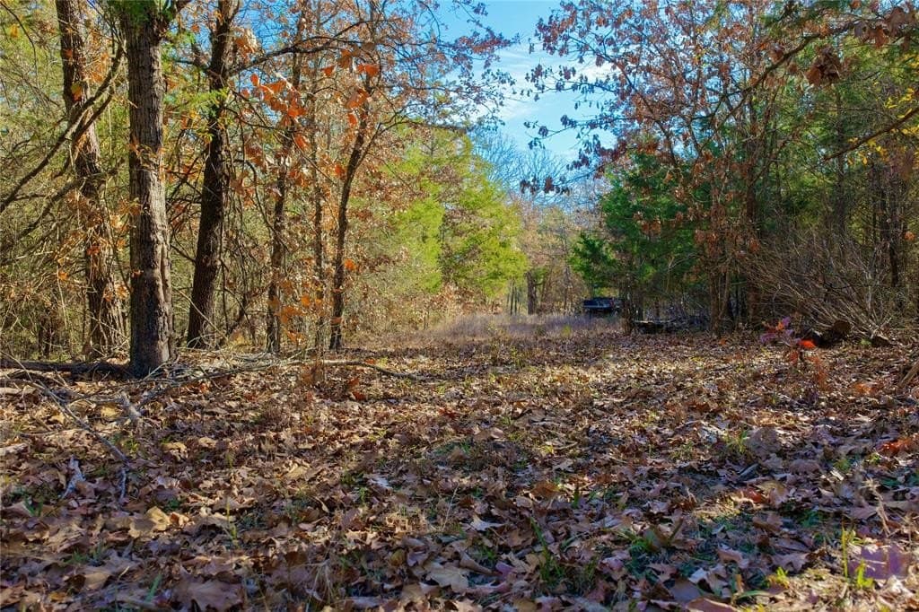 62.58 acres in Lamar County - photo 27