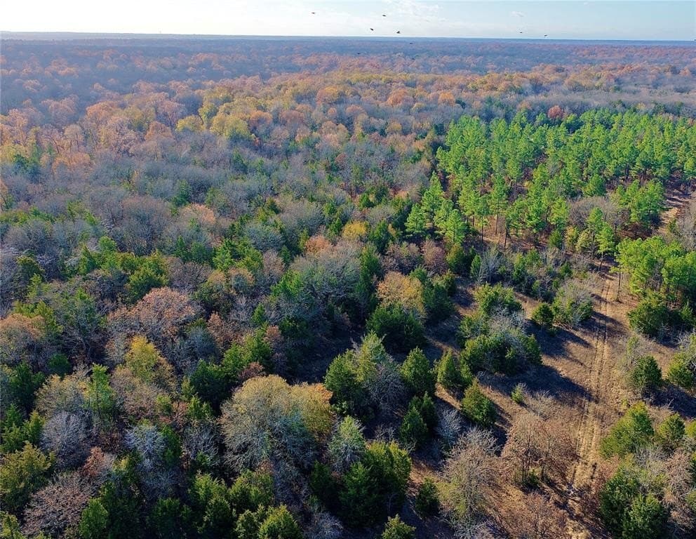 62.58 acres in Lamar County - photo 4