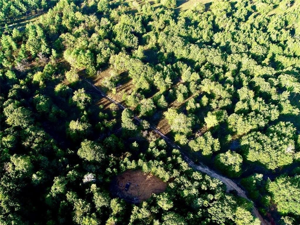 62.58 acres in Lamar County - photo 33
