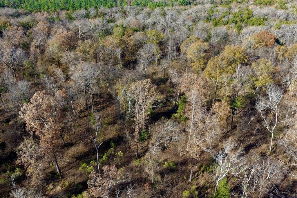 62.58 acres in Lamar County - photo 9