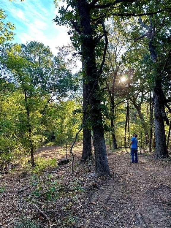 62.58 acres in Lamar County - photo 36