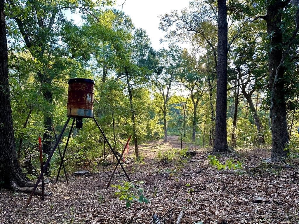 62.58 acres in Lamar County - photo 37