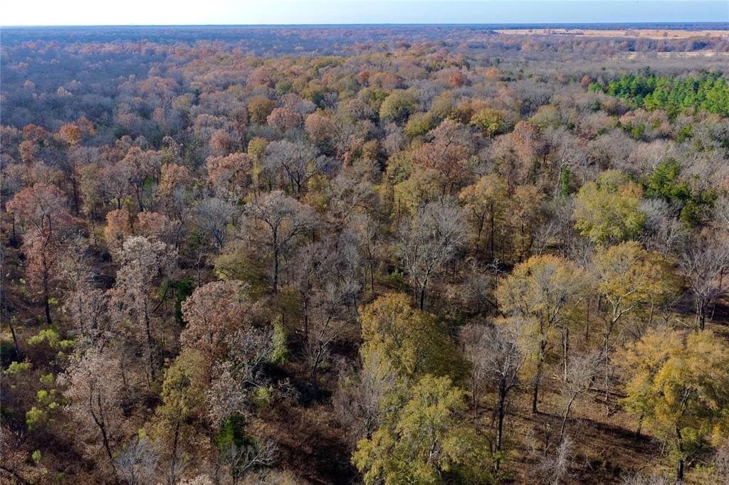 62.58 acres in Lamar County - photo 2