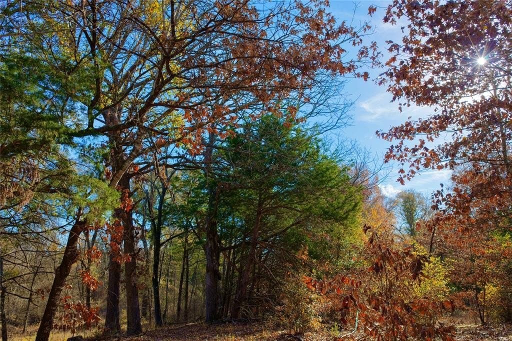 62.58 acres in Lamar County - photo 11