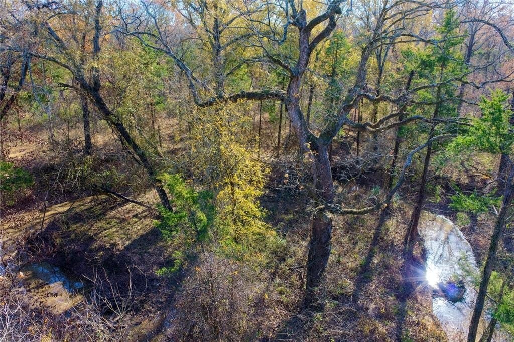 62.58 acres in Lamar County - photo 24