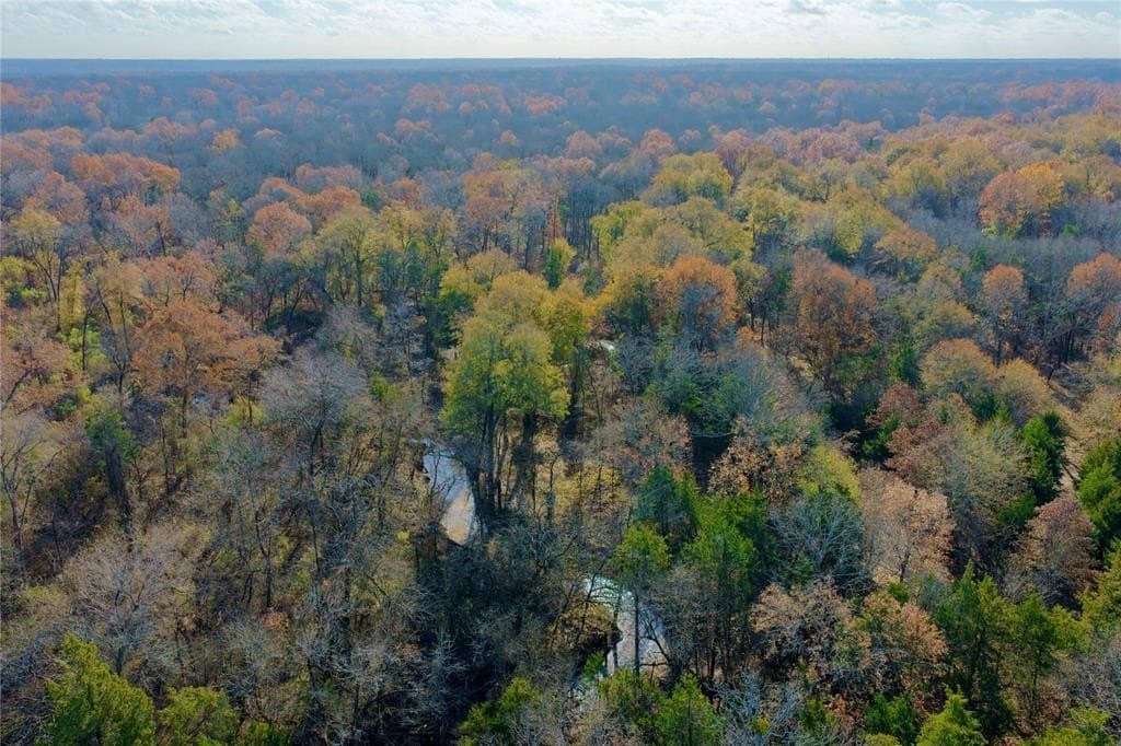 62.58 acres in Lamar County - photo 8