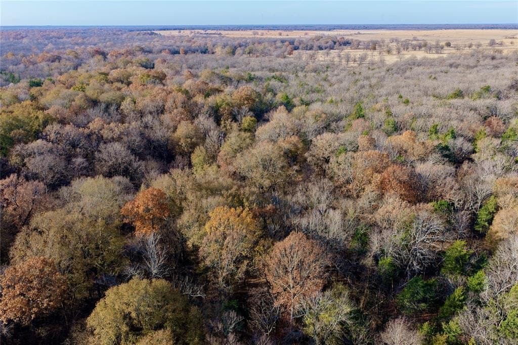 62.58 acres in Lamar County - photo 22