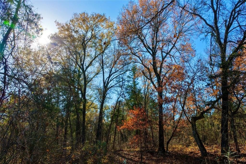 62.58 acres in Lamar County - photo 25