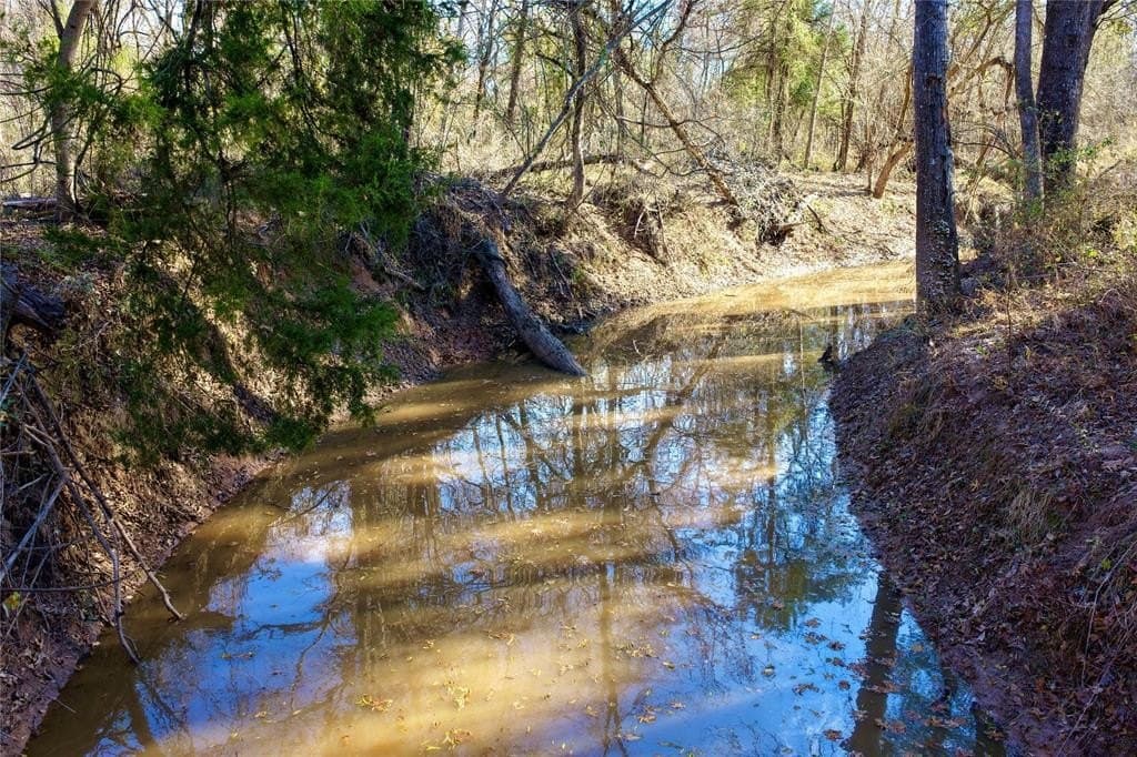 62.58 acres in Lamar County - photo 19