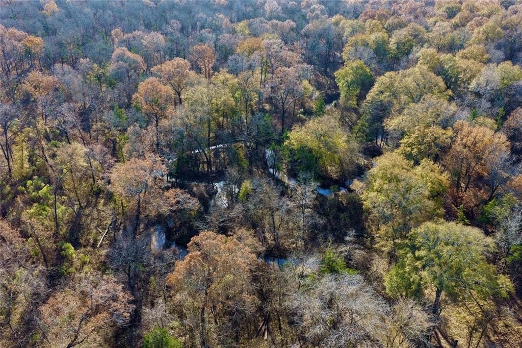 62.58 acres in Lamar County - photo 7
