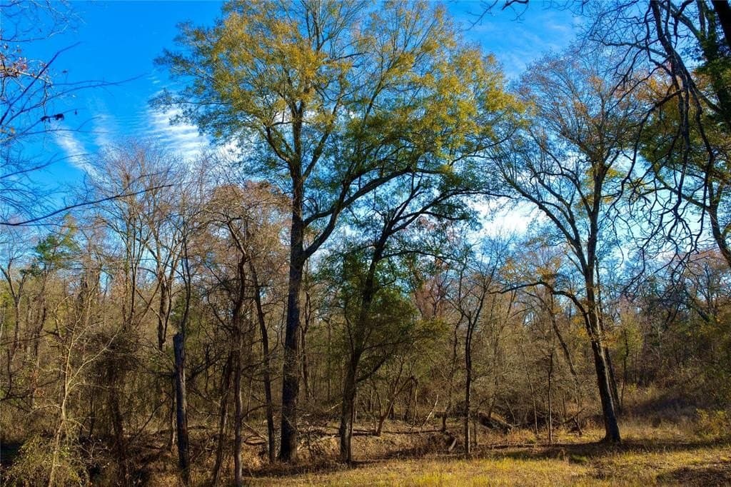 62.58 acres in Lamar County - photo 14
