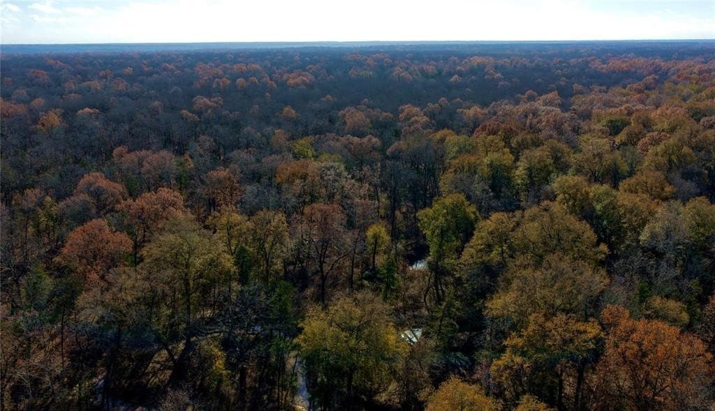 62.58 acres in Lamar County - photo 20