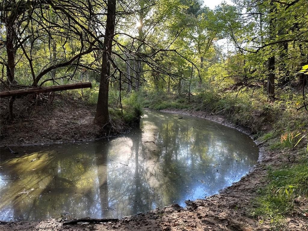 62.58 acres in Lamar County - photo 35