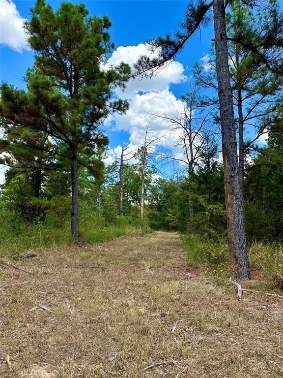 62.58 acres in Lamar County - photo 31