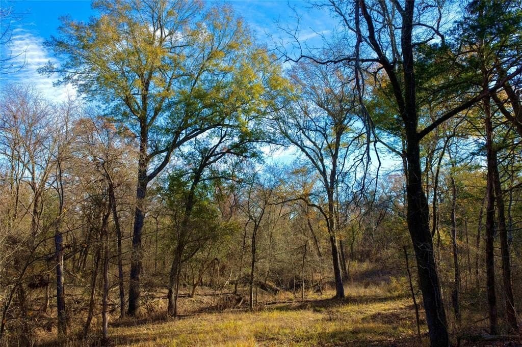 62.58 acres in Lamar County - photo 12