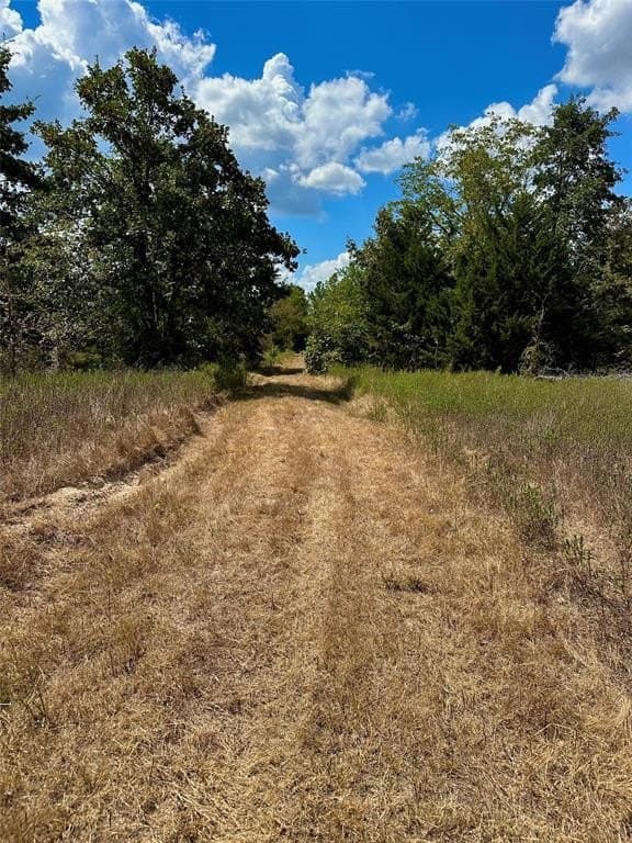 62.58 acres in Lamar County - photo 32