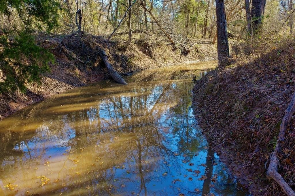 62.58 acres in Lamar County - photo 15