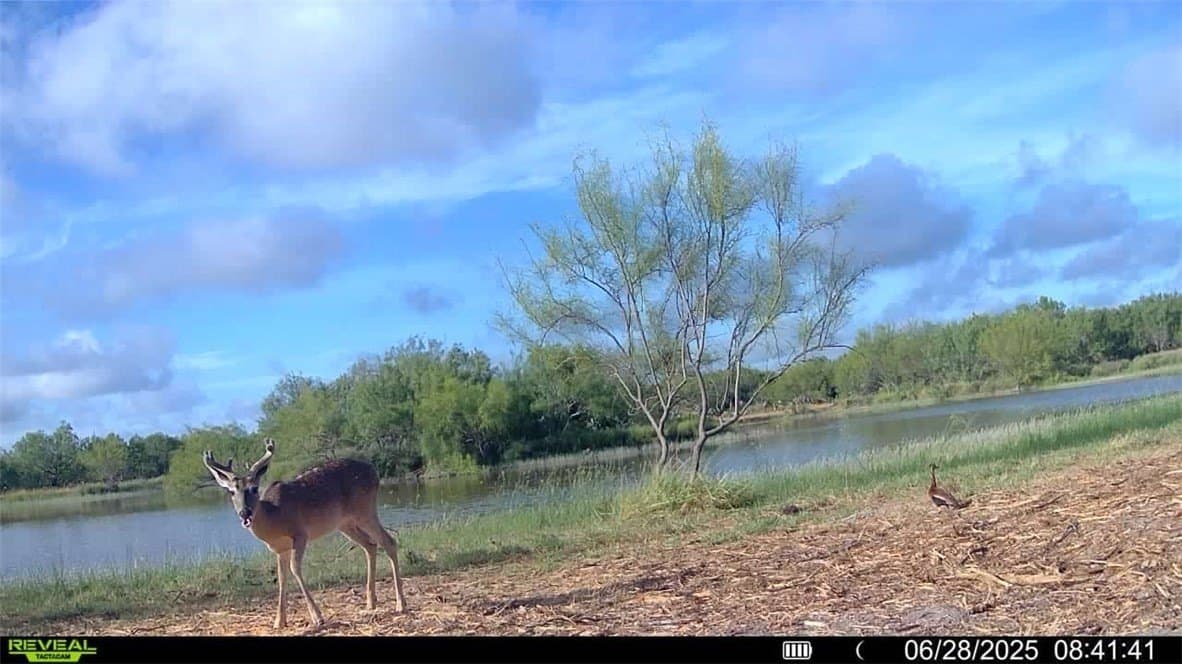 100 acres in La Salle County - photo 28