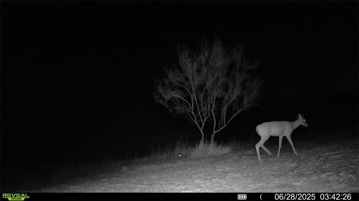 100 acres in La Salle County - photo 40