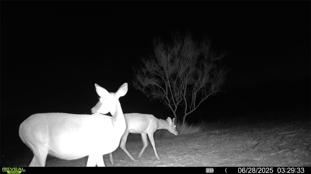 100 acres in La Salle County - photo 16