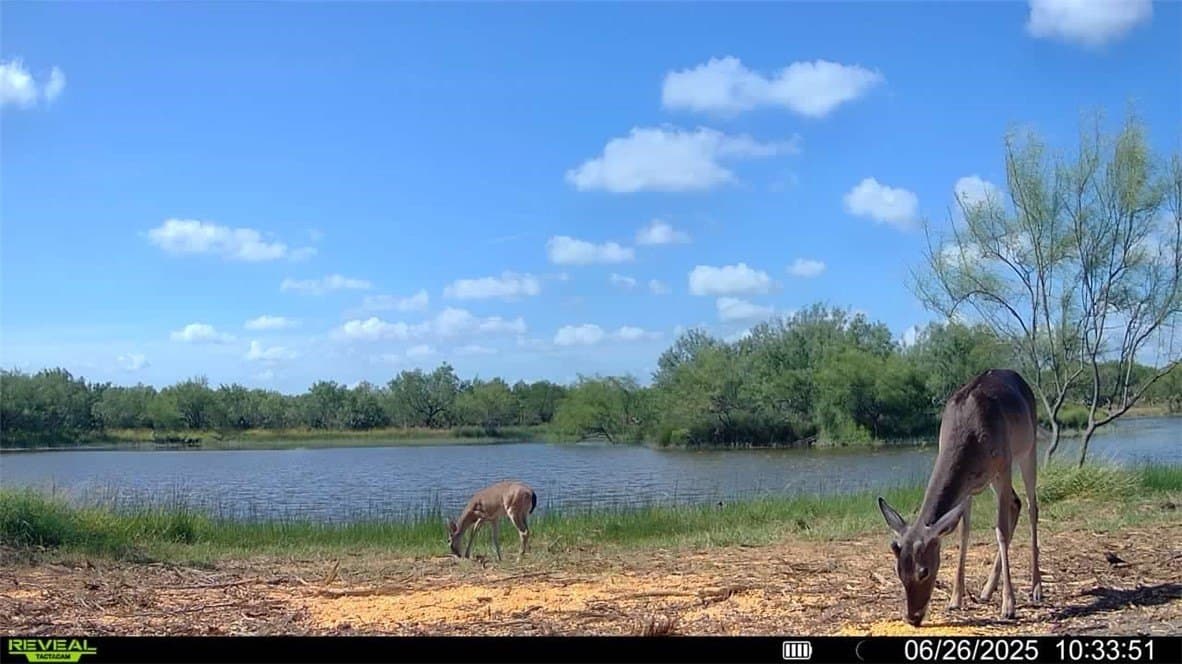 100 acres in La Salle County - photo 18