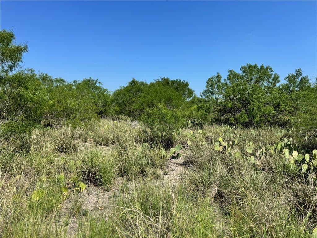 100 acres in La Salle County - photo 31