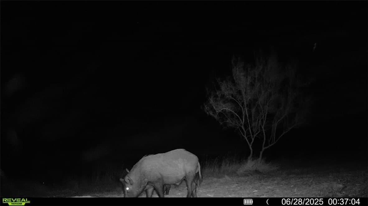 100 acres in La Salle County - photo 32