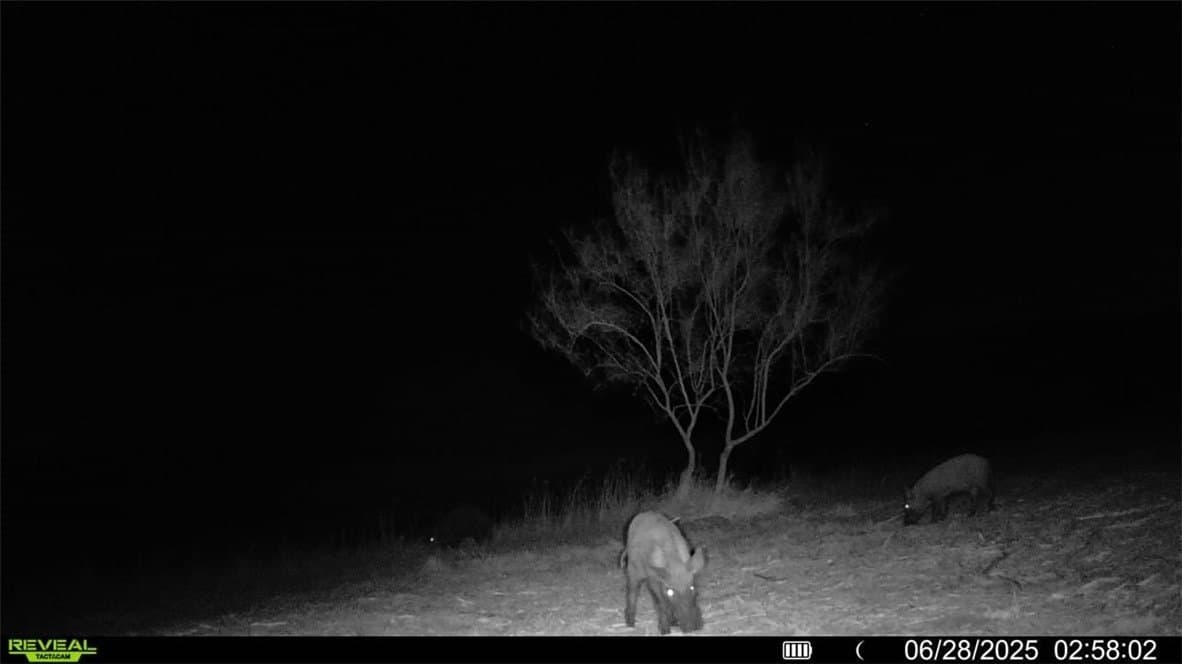 100 acres in La Salle County - photo 12
