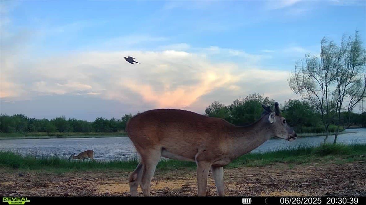 100 acres in La Salle County - photo 20