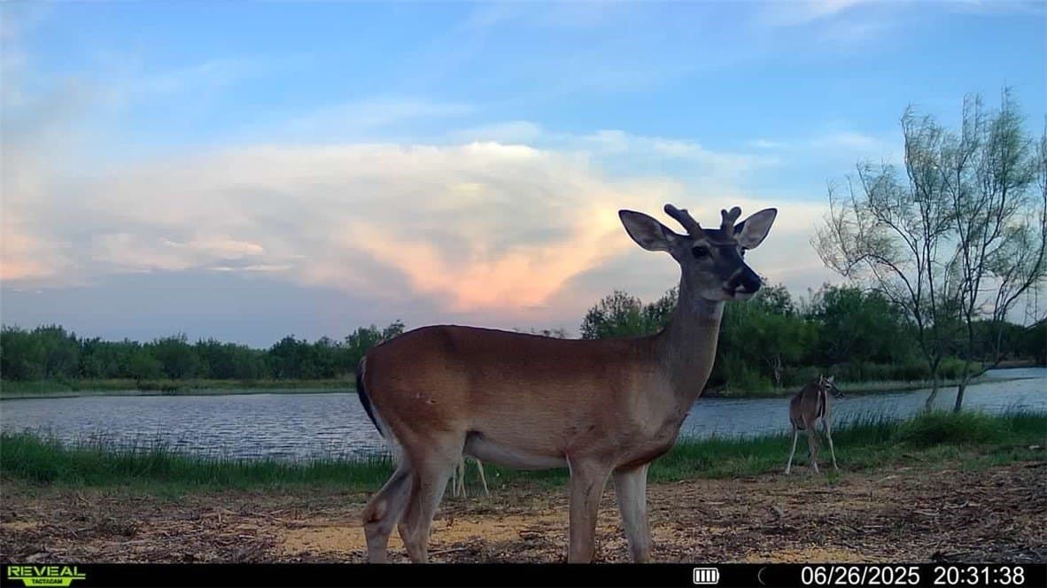 100 acres in La Salle County - photo 6