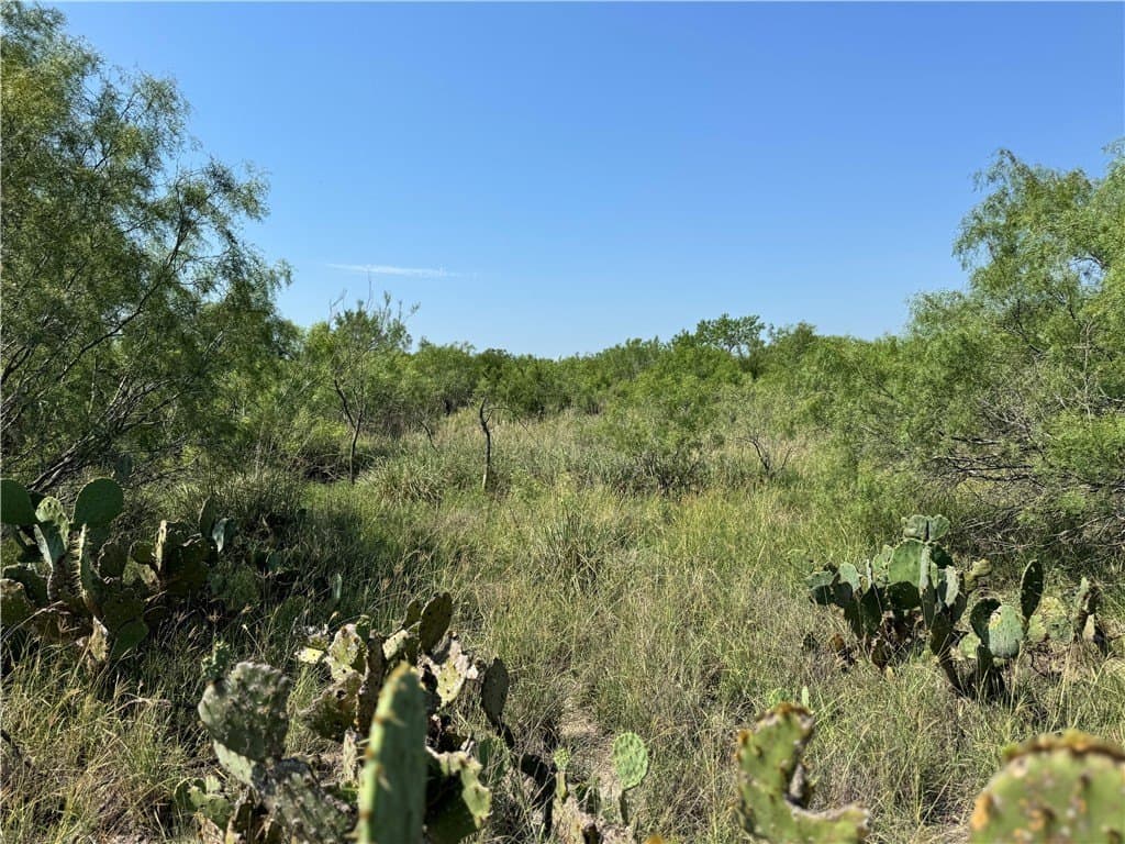 100 acres in La Salle County - photo 11