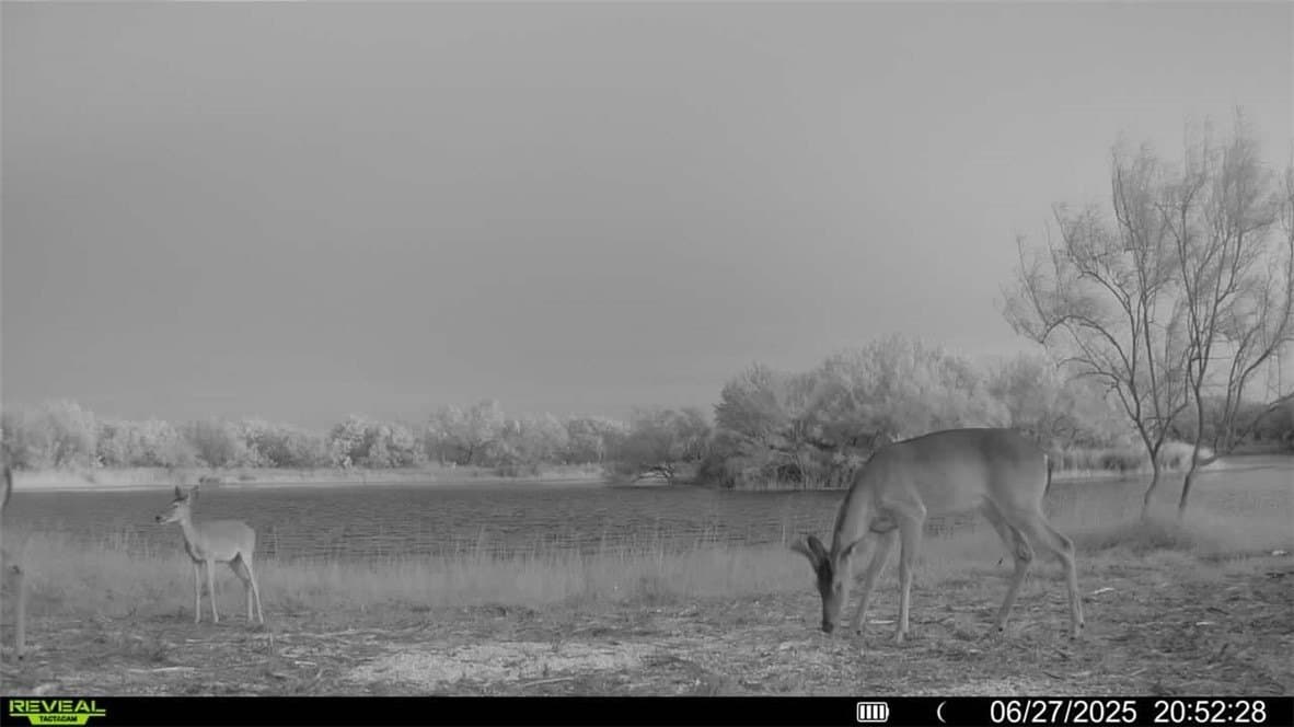 100 acres in La Salle County - photo 30
