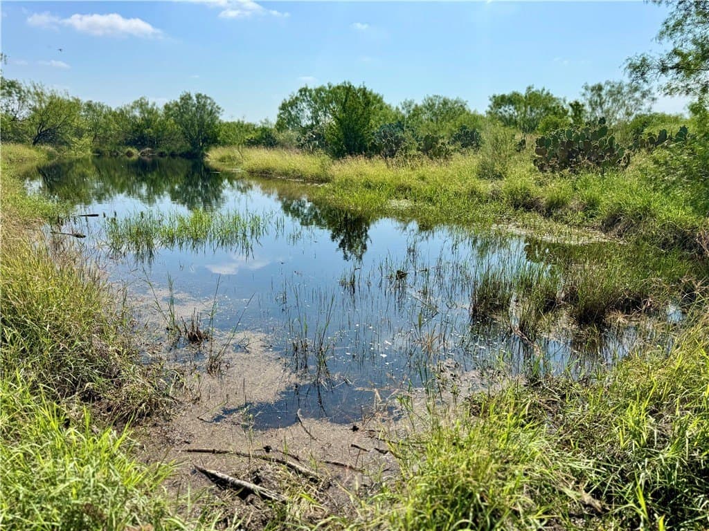 100 acres in La Salle County - photo 9