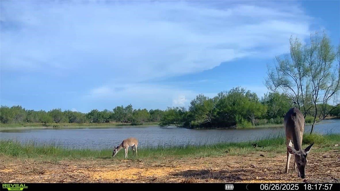 100 acres in La Salle County - photo 26