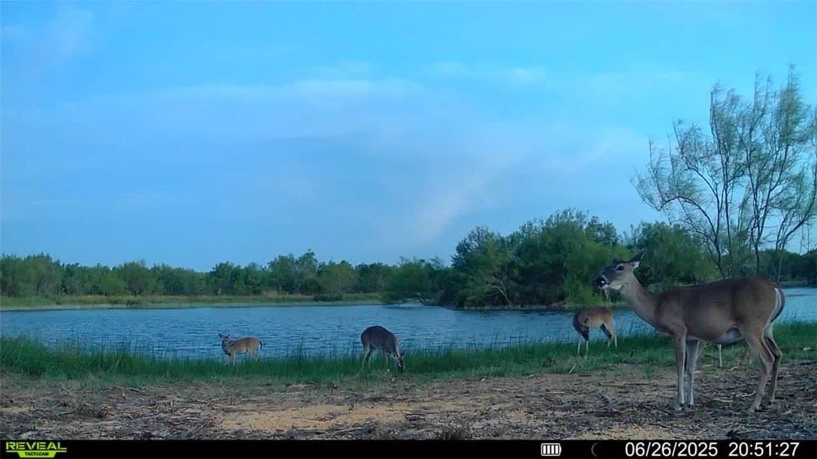 100 acres in La Salle County - photo 39