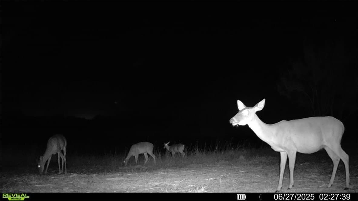 100 acres in La Salle County - photo 4