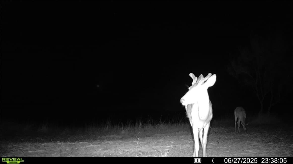 100 acres in La Salle County - photo 22