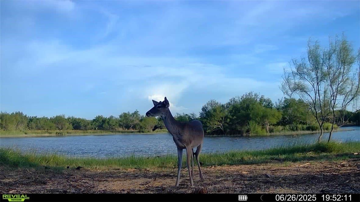 100 acres in La Salle County - photo 8