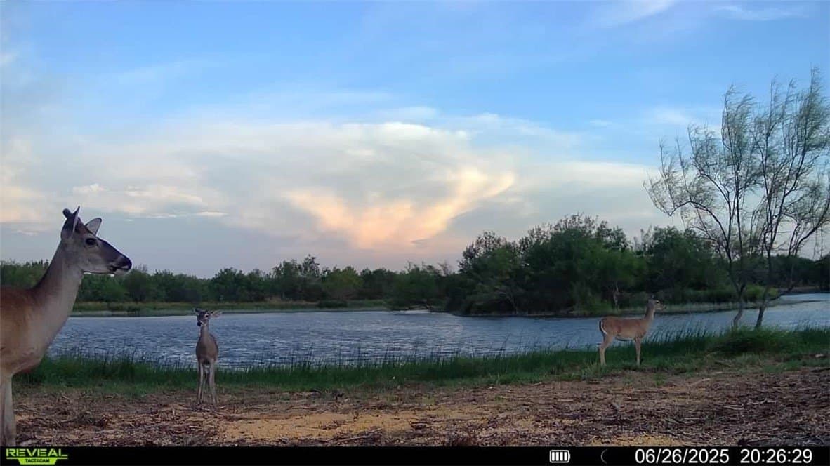 100 acres in La Salle County - photo 10