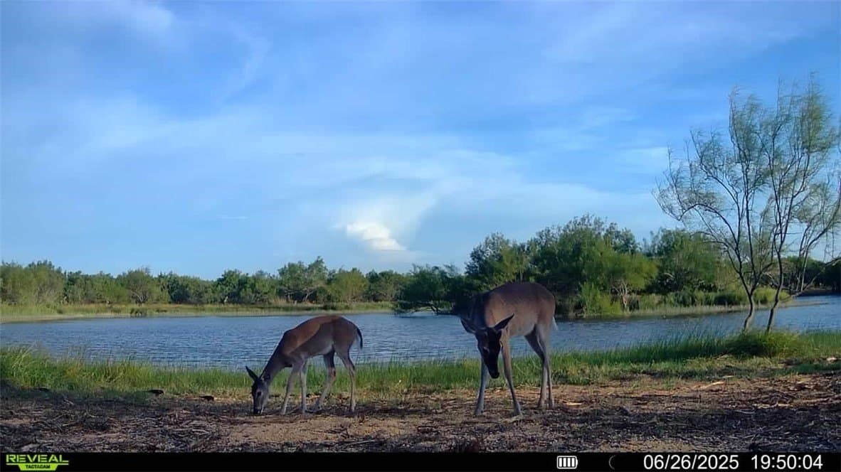 100 acres in La Salle County - photo 2