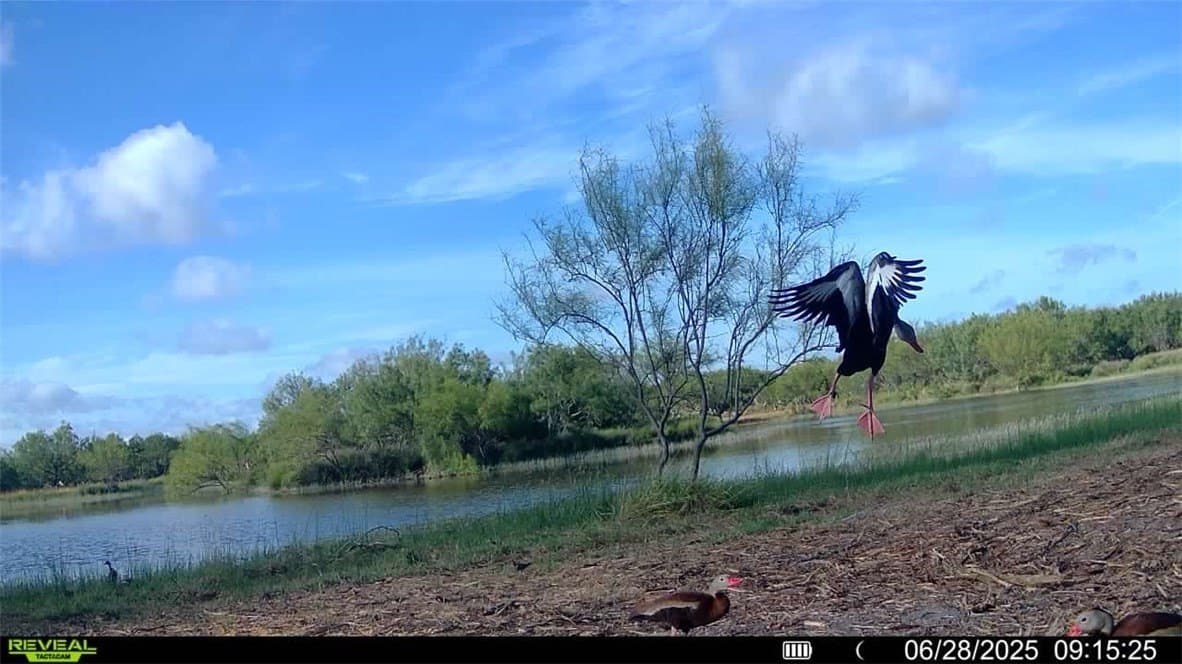 100 acres in La Salle County - photo 34