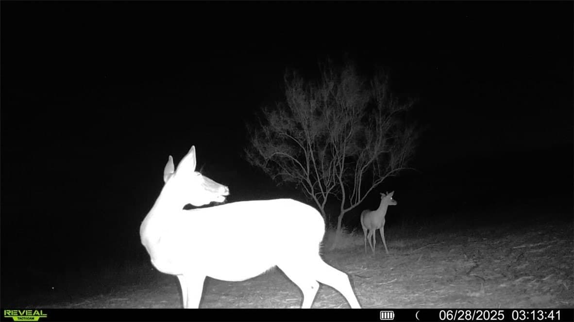100 acres in La Salle County - photo 24