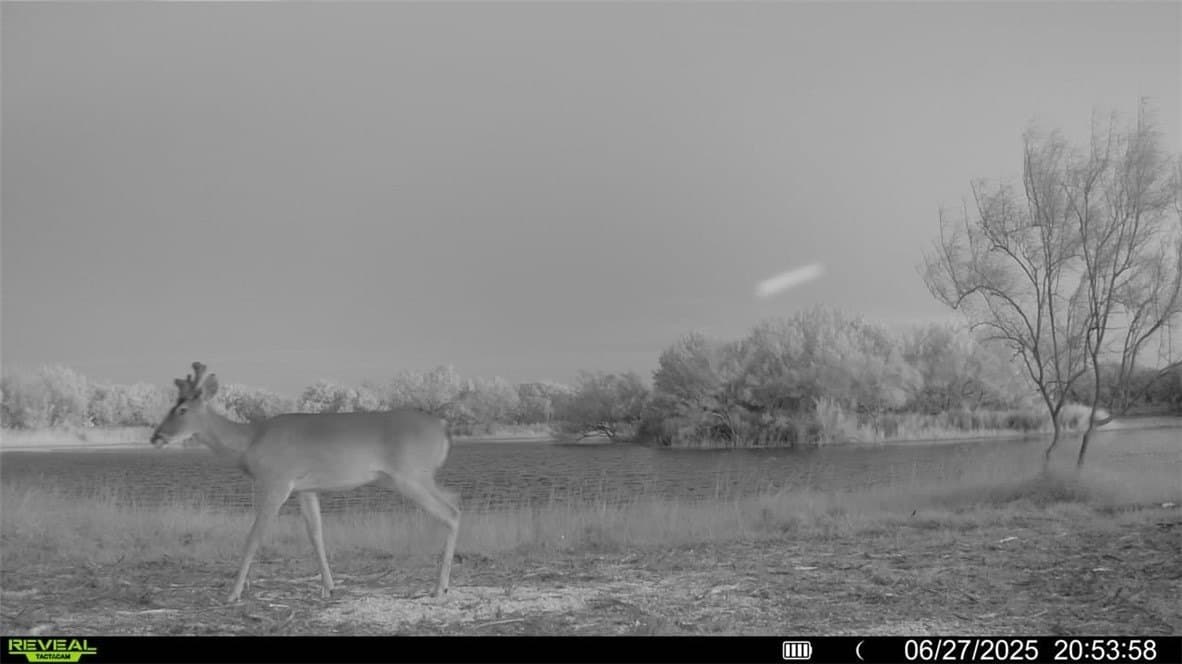 100 acres in La Salle County - photo 14