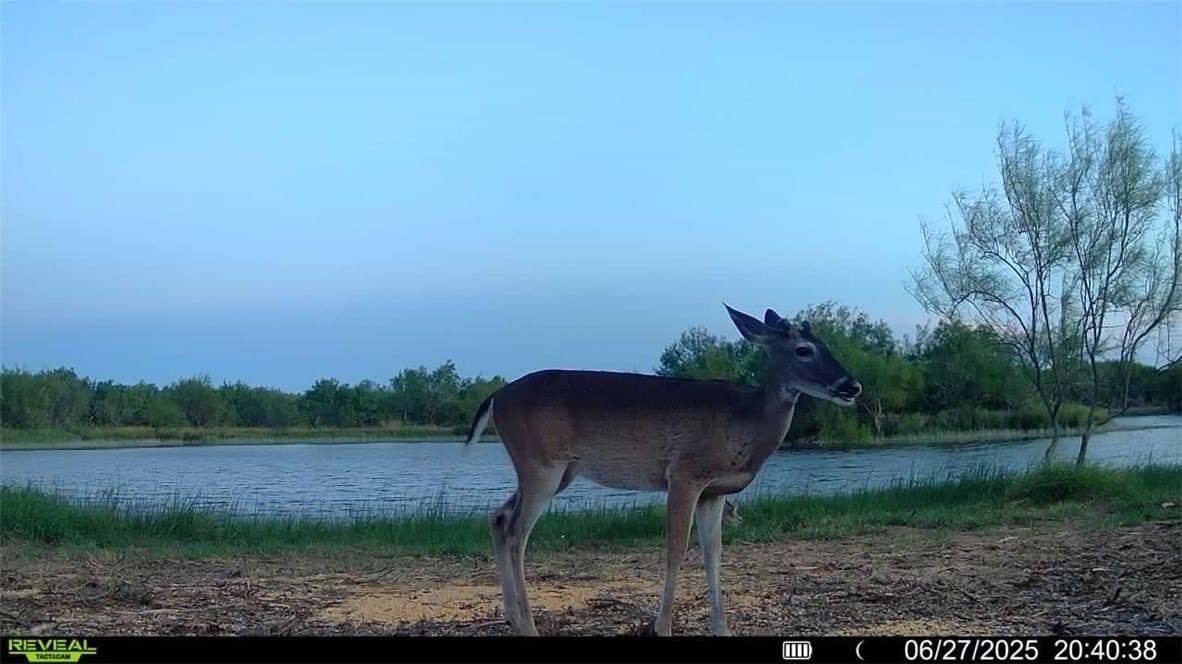 100 acres in La Salle County - photo 38