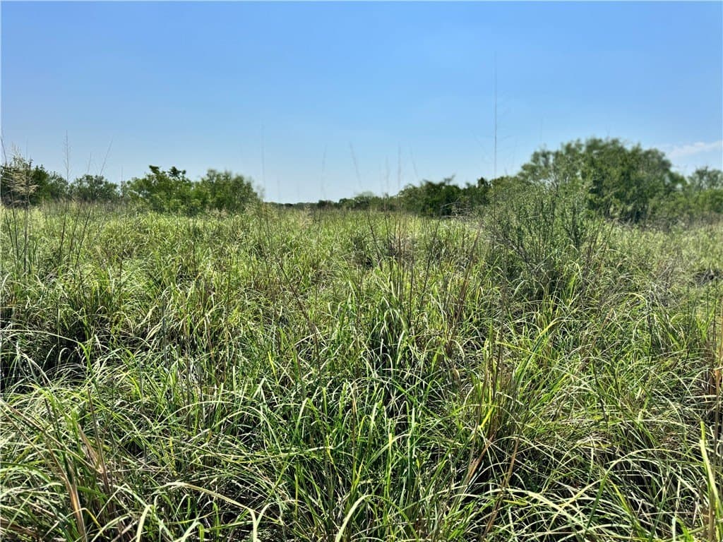 100 acres in La Salle County - photo 13