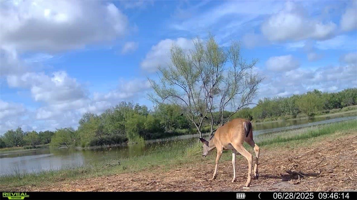 100 acres in La Salle County - photo 36