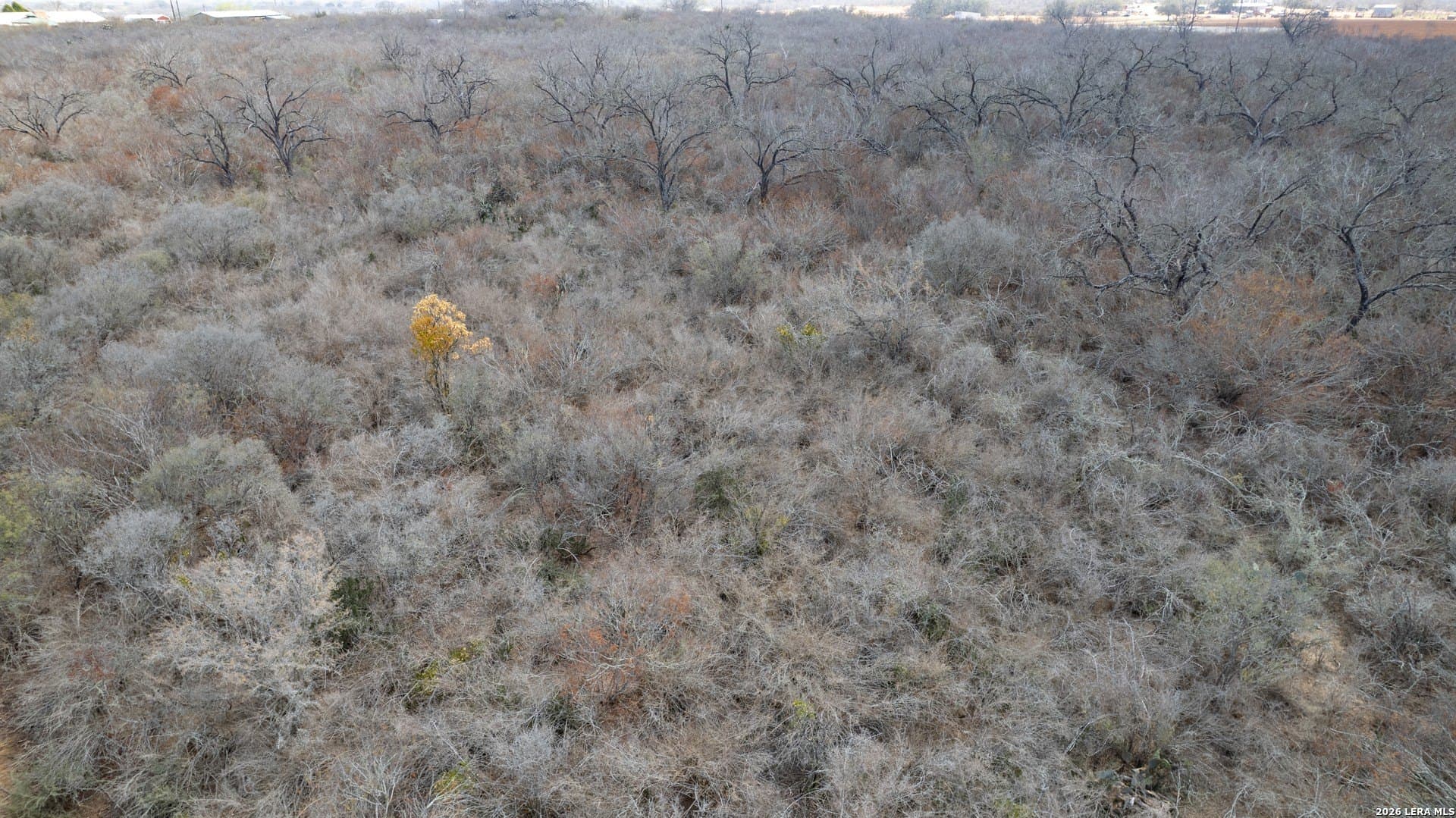 68 acres in Frio County - photo 13